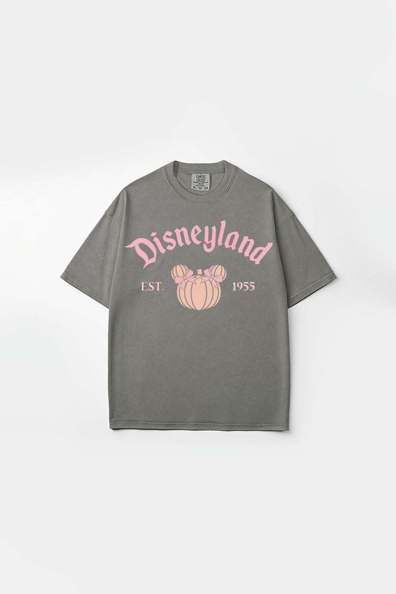 Comfort Colors Graphic Tee, 2025-20